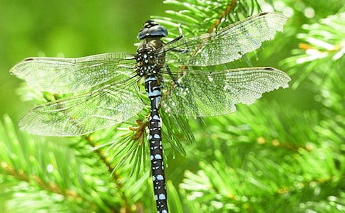 �����c(di��n)ˮ���Z(y��)���