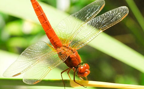 ׽�������ĳ��ã�15ƪ��