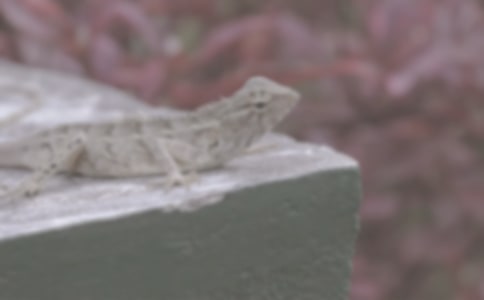 ׃ɫ��������ą^(q��)�e