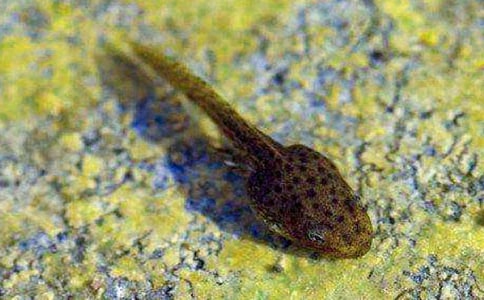 �ɐ۵�С�������14ƪ[���A]