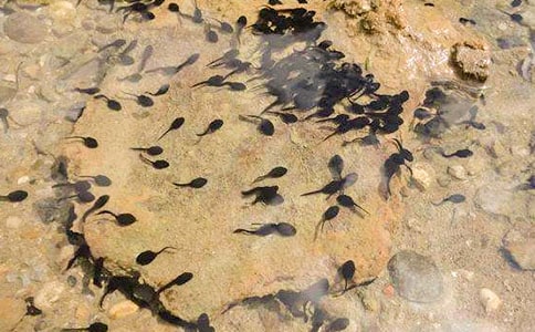 ׽������ĺϼ�15ƪ