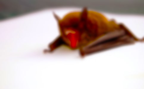 ��������ąR����15ƪ��