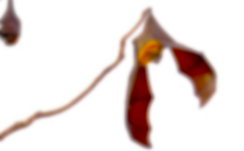 ����Q������