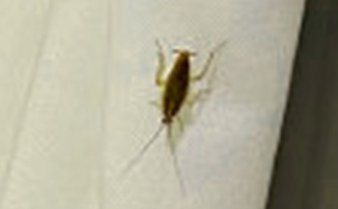 [�ϼ�]������������