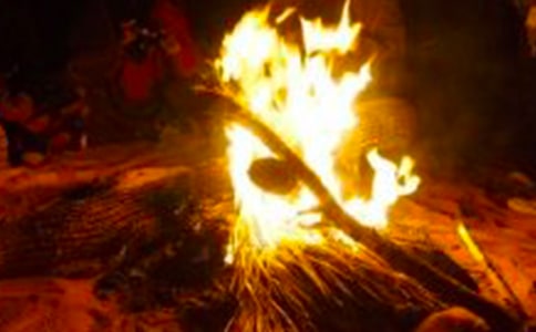�������(hu��)����15ƪ[��(sh��)��]