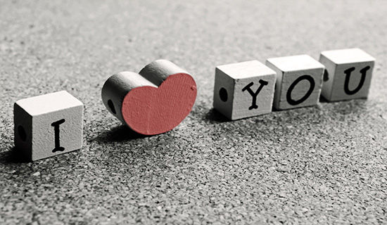 ���_(d��)����ľ�������