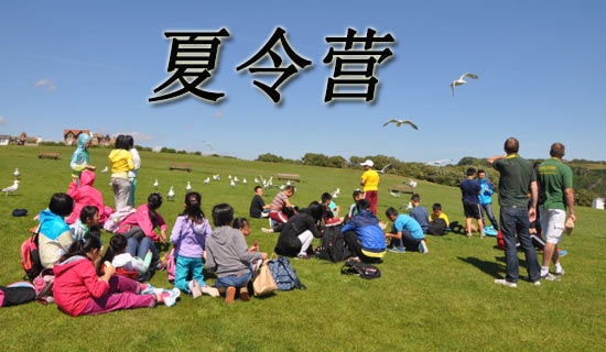 �P������I���ĵ��w����ô��