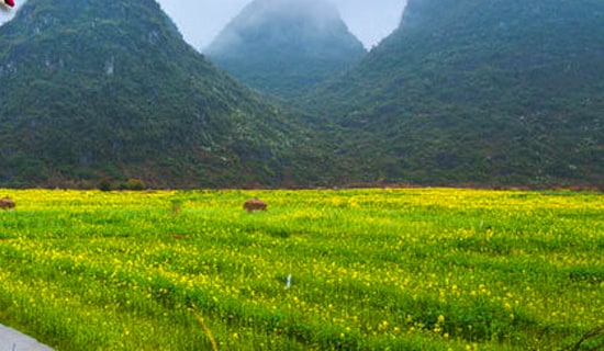 �����S�P����600��